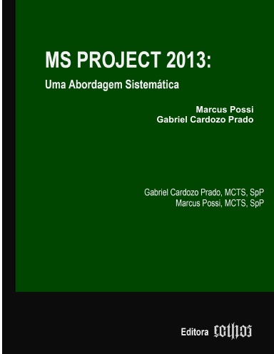 MS Project 2013
